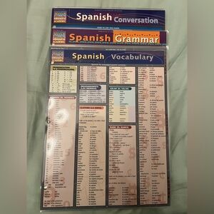 Spanish Grammar and Vocabulary Quick Guides